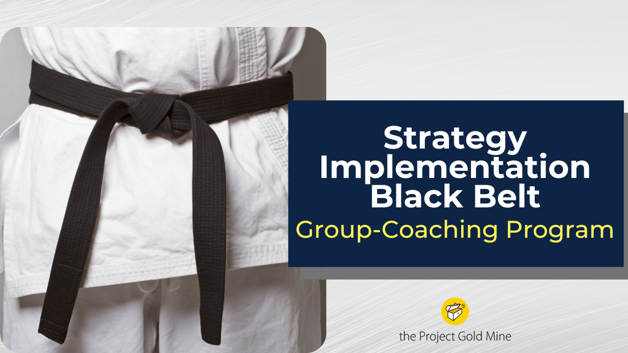 strategy implementation black belt coaching program